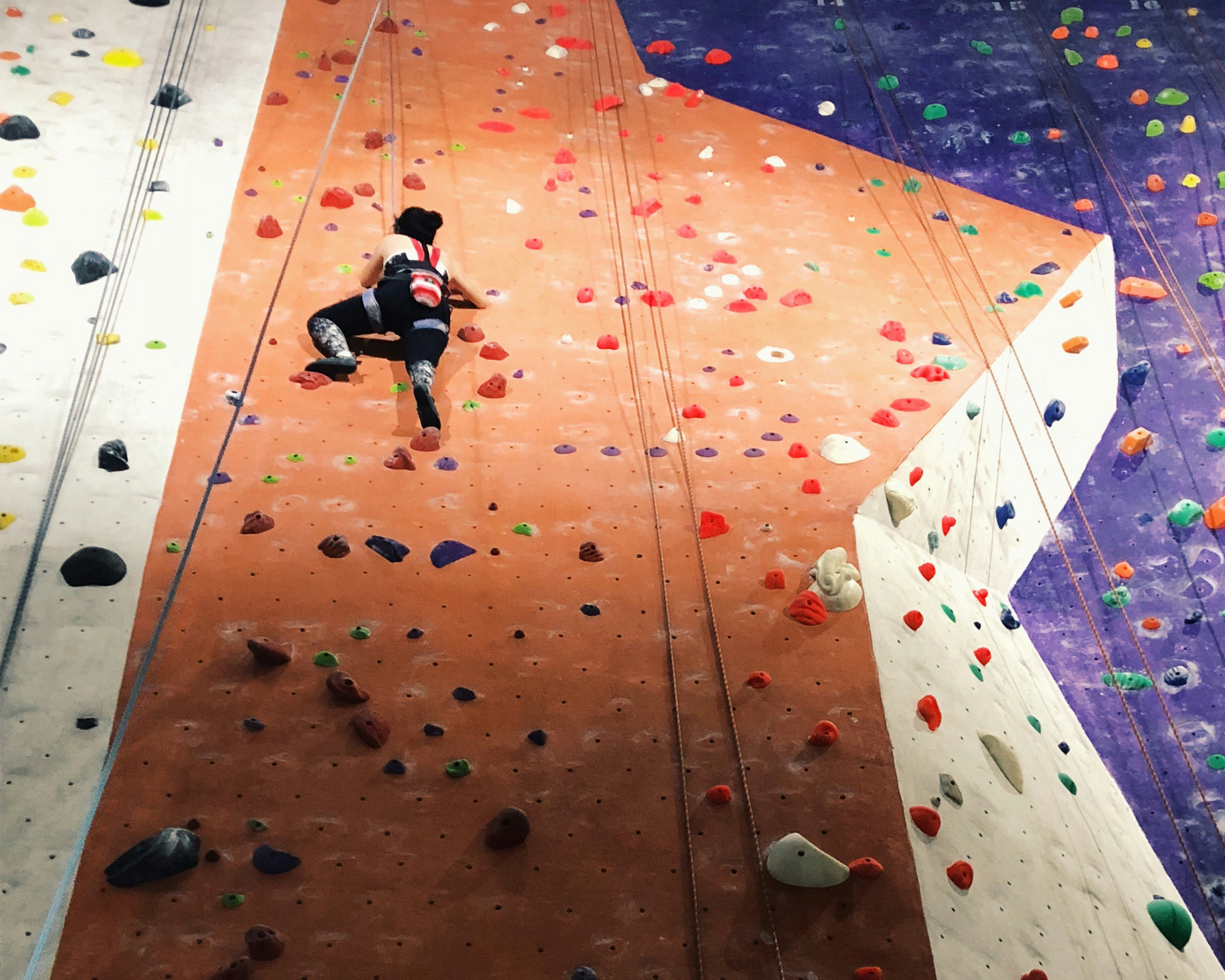 climbing gym wall, rope wall